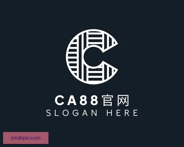 介绍CA88官网